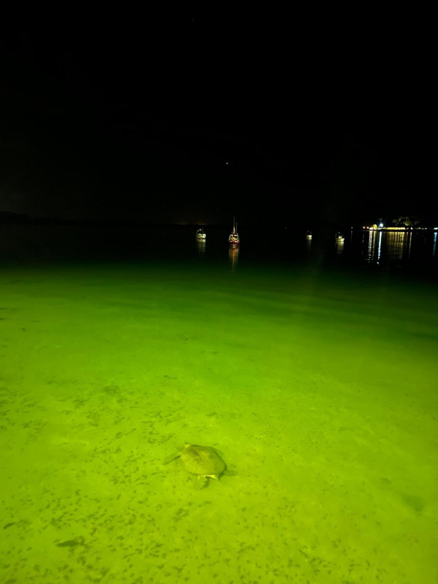 Koh Mook Garden Beach Resort Экстерьер фото
